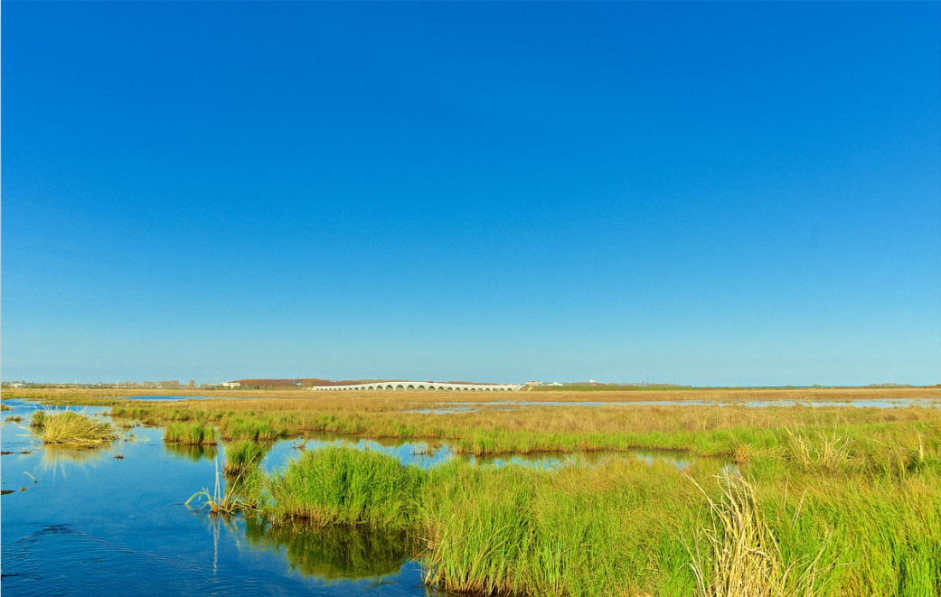 1525424304132054.png 天氣.png