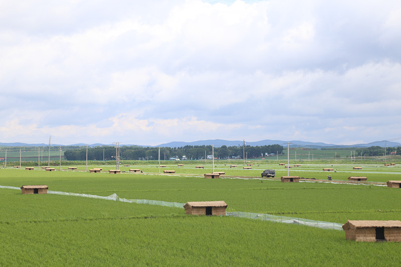 1525424711773128.jpg 基地.jpg